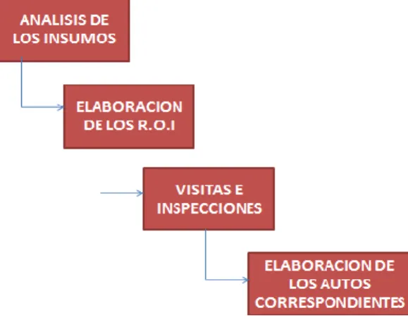 Figura 4: Actividades Función 2 