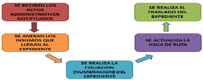 Figura 6: Actividades Función 4 