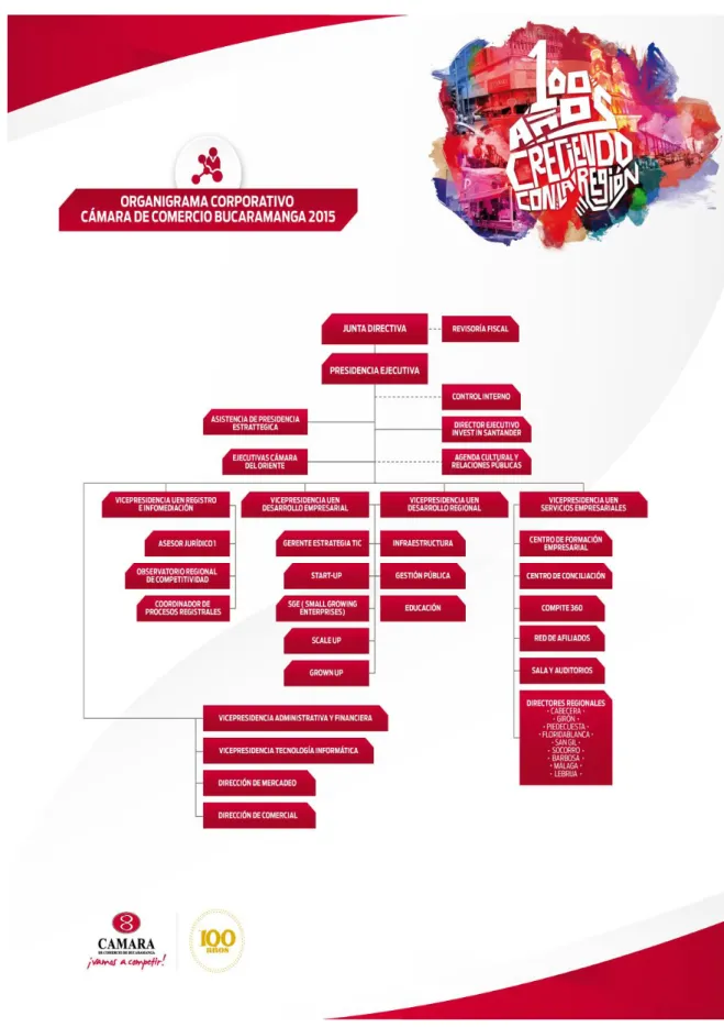 Figura 1. Organigrama 