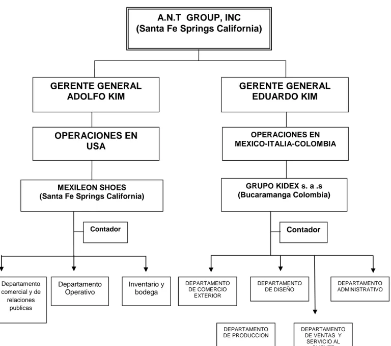 Figura 3. Estructura Organizacional Grupo Kidex 