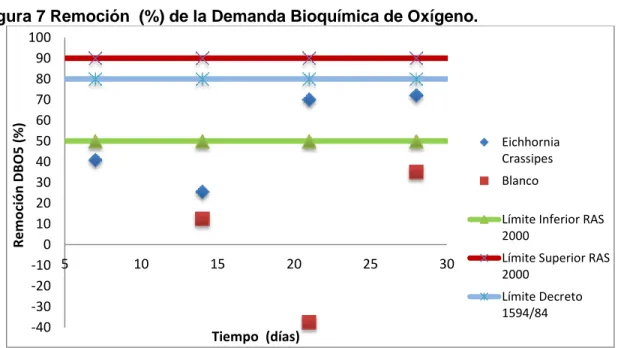 Figura 7 Remoción  (%) de la Demanda Bioquímica de Oxígeno.  