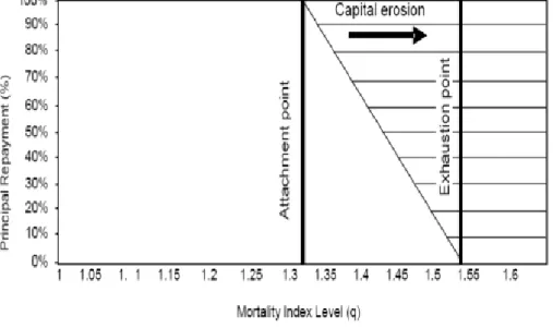 Gráfico 8: Devolución del principal del CATM Vita I