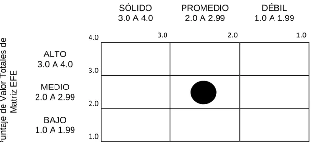 Cuadro 29. Matriz Interna - Externa 