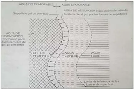 Figura 1. Esquema de la ubicación del agua en la pasta de cemento hidratado 