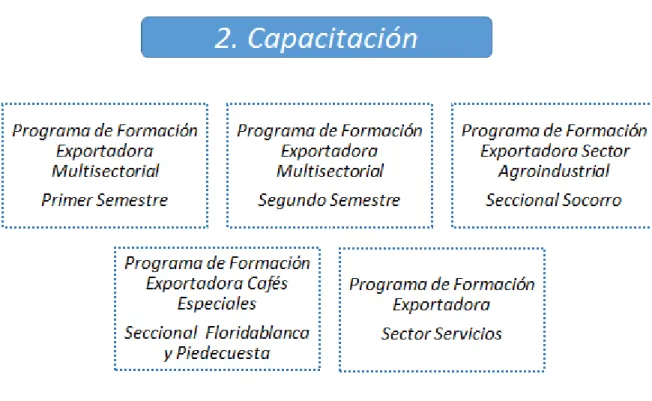 Figura 3.Programas de capacitación 