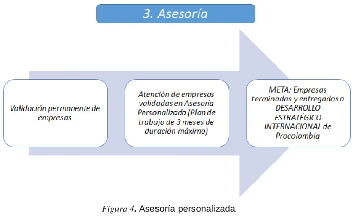 Figura 4. Asesoría personalizada 
