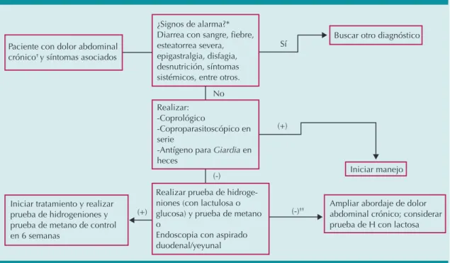 Figura 2.  Diagrama de flujo para el diagnóstico y tratamiento del paciente con sospecha de sobrecrecimiento  bacteriano en el intestino delgado