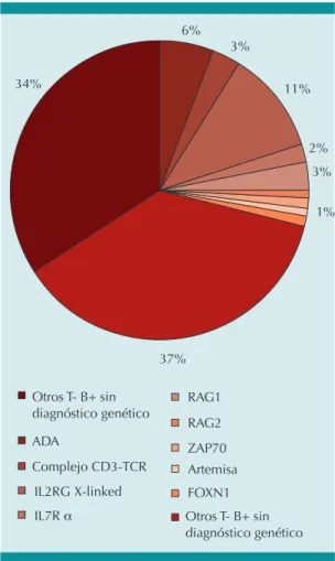 Figura 3.  Inmunodeficiencias  combinadas  graves:  pacientes con diagnóstico genético versus sin  diag-nóstico genético.
