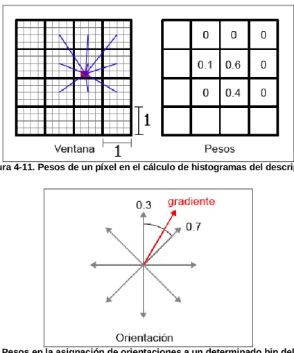 Figura 4-11. Pesos de un píxel en el cálculo de histogramas del descriptor. 