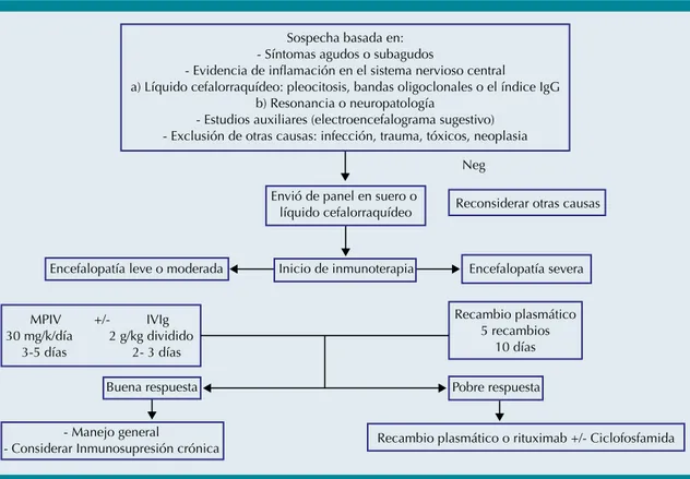 Figura 2.  Algoritmo de abordaje y tratamiento en encefalitis autoinmune. MPIV: metilprednisolona intravenosa; IVIg:  inmunoglobulina Intravenosa