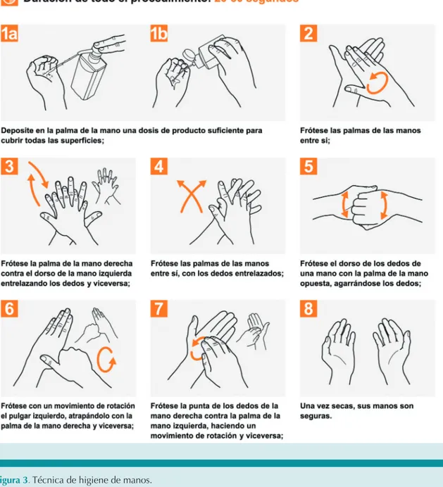 Figura 3. Técnica de higiene de manos.