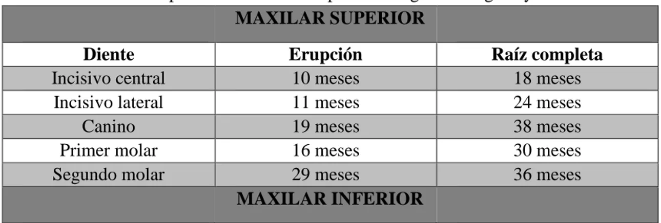 Tabla 2. Edades de erupción de la dentición primaria según Rodríguez y colaboradores.   MAXILAR SUPERIOR  