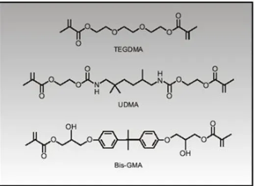 Figura  4:  Estructura  química  de  los  componentes  de  la  matriz  de  resina.  (Adaptado  de  ChainM.)Fuente:http://www.Monografias.com/trabajos45/biomimetizacionresinas/biomim etizacion-resinas2.shtml  