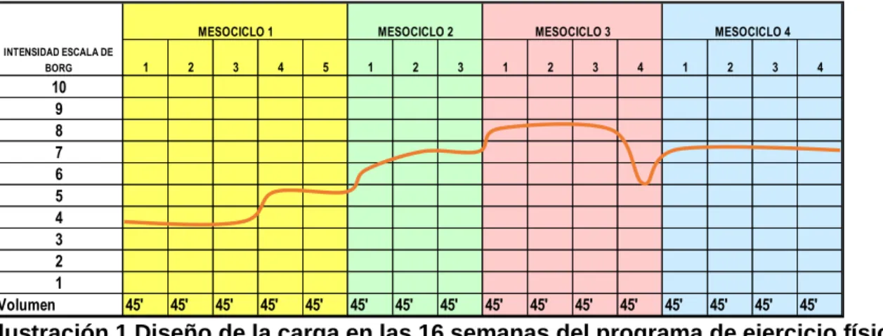 Ilustración 1 Diseño de la carga en las 16 semanas del programa de ejercicio físico.
