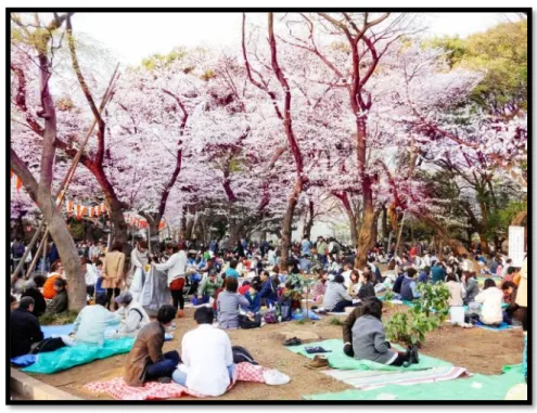 Figura 19. Ttemporada de la flor de cerezo, picnic en el parque Ueno  (Japan Guide) 