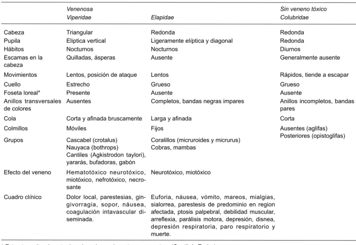 Cuadro 3. Características de las serpientes venenosas y con venenos sin toxicidad para el ser humano
