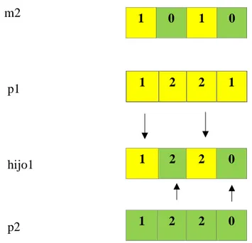 Figura 7. Cruce uniforme: hijo 1, segmento 2; asignación de los puntos de valoración a 
