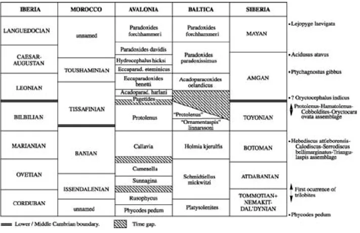 FIGURE 4 Correlation chart of the Lower and Middle Cambrian of the Acadobaltic Province and Siberia, modified from Sdzuy (1972, 1995), Geyer (1990), Liñán et al