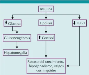 Figura 1.  Fisiopatología del síndrome de Mauriac.