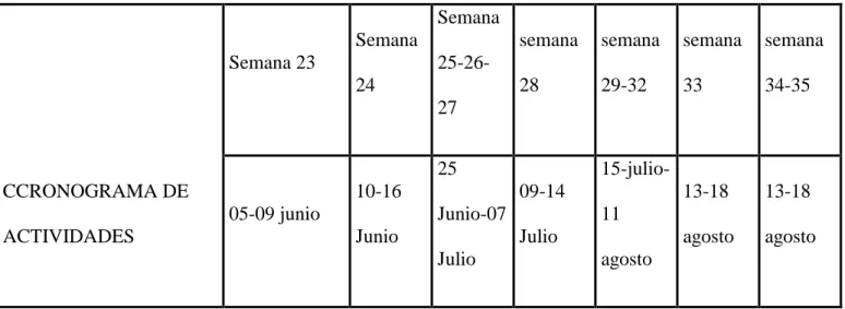 Tabla 2. Informe de actividades programadas