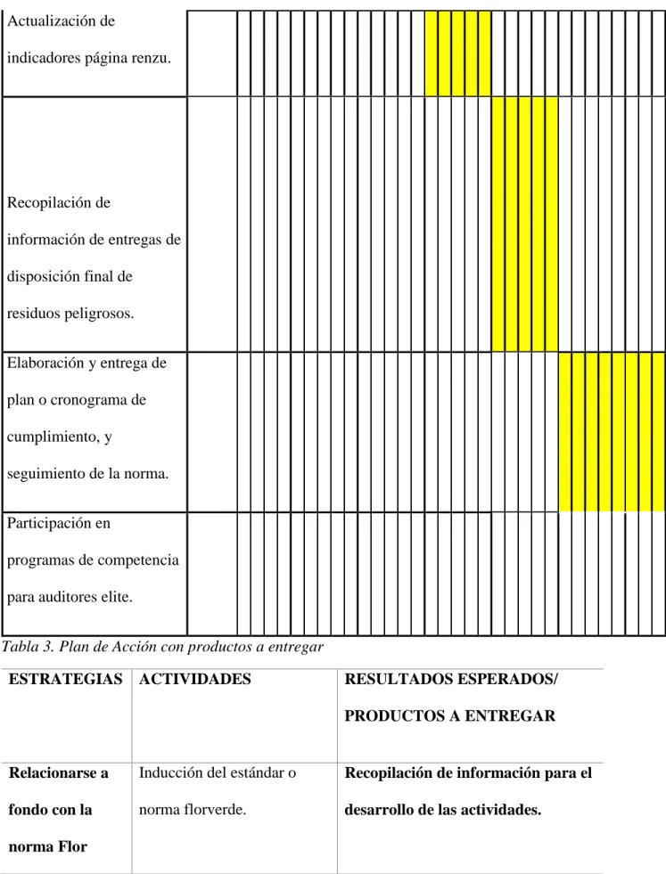 Tabla 3. Plan de Acción con productos a entregar
