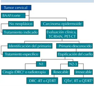 Figura 1.  Algoritmo que muestra la ruta terapéutica en  pacientes con metástasis de carcinoma epidermoide  en cuello con primario desconocido