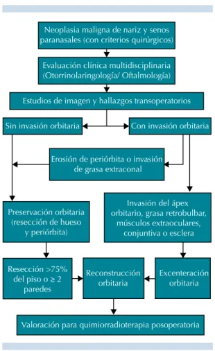 Figura 10.  Protocolo diagnóstico y terapéutico.