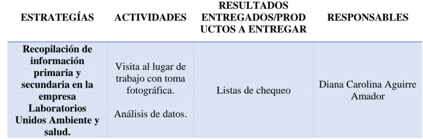 Tabla 1: Plan de acción con productos a entregar. 