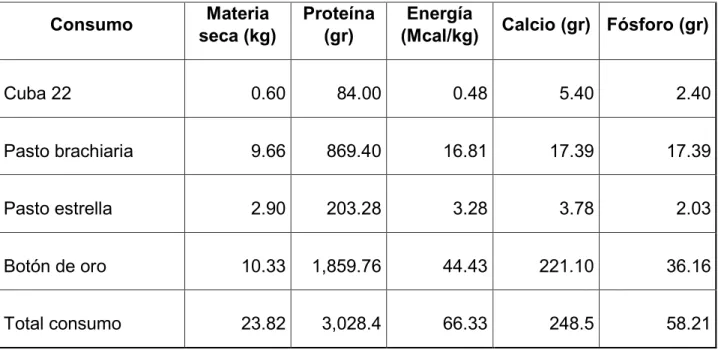 Tabla 21. Balance nutricional 
