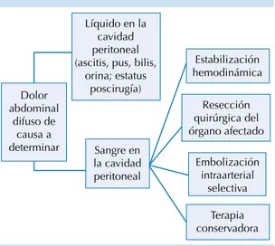 Figura 9.  Flujograma de tratamiento posterior a la  identificación del hemoperitoneo.