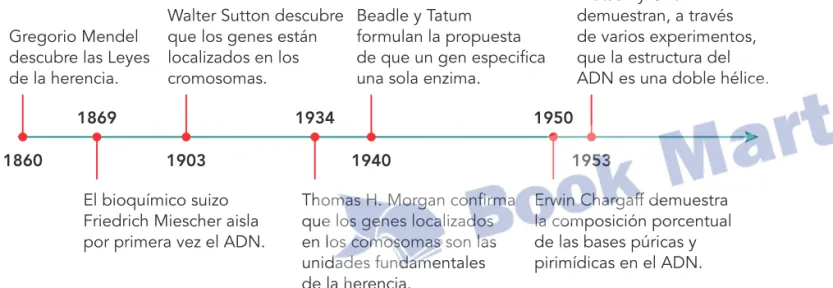 Figura 1.1  Antecedentes del ADN.