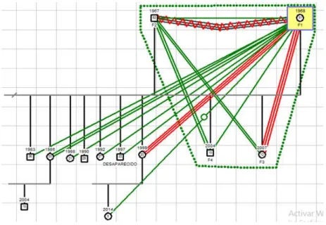 Tabla 5. Codificación familia 2  
