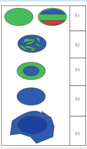 Figura 1.  Escala de elasticidad de Ueno. E1