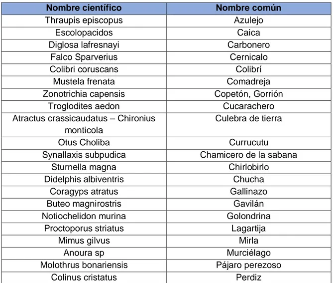 Tabla 2. Fauna en el municipio de Cota (Cundinamarca). 