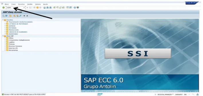 Figura 8. Ingresar transacción, adaptado de SAP (System Application Production), 2018