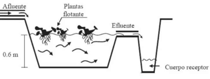 Figura 2.  Humedal artificial de flujo superficial, por Arias, Betancur, Goméz, Salazar, &amp;  Hernandez (2010) 