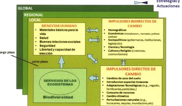 Figura 5. Trama de referencia de MA en relación entre el bienestar humano y los  ecosistemas