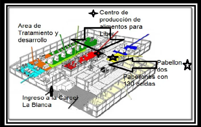 Ilustración 3 Distribución interna de la planta de operación 