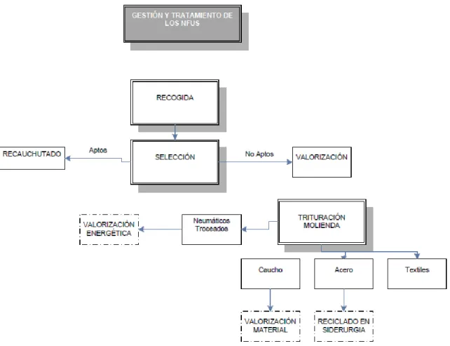 Figura 12. Proceso para separación de los componentes del neumático. 