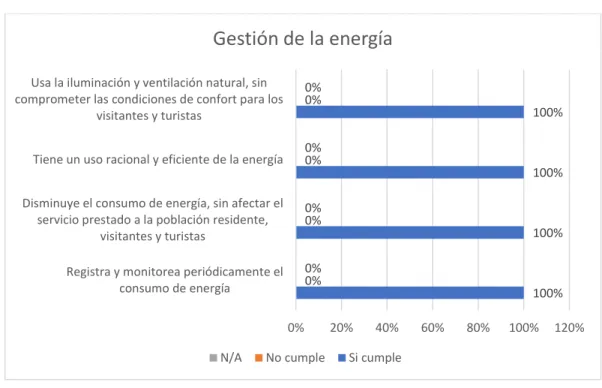 Figura 10. Gestión de la energía 