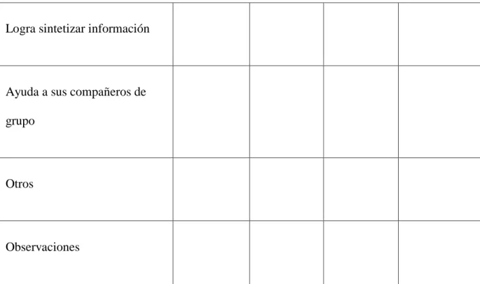Ilustración 4: Formulario de observación 