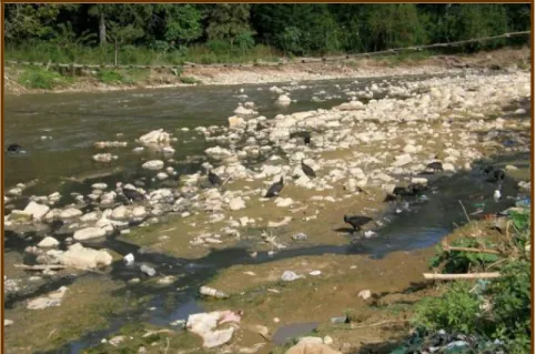 Figura 15. Contaminación Río de Oro, sector Chimita. Tomado del archivo fotográfico periódico  “Vanguardia Liberal”, año 2015