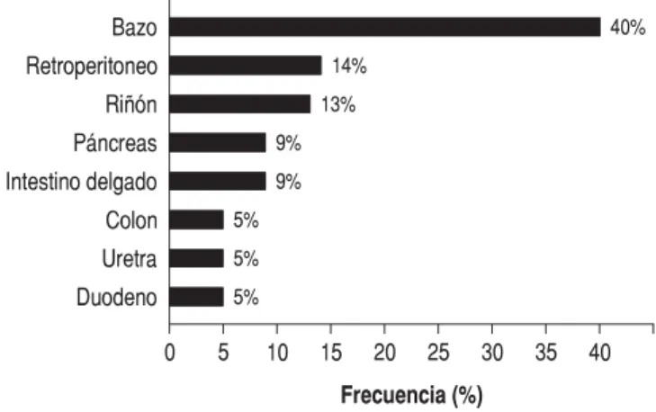 Figura 5. Fracturas costales laterales derechas y hemotórax derecho. Figura 6.  Fractura de pelvis y fémur izquierdo con fijadores externos.