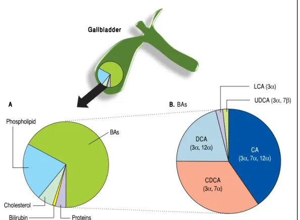 Figure 3.Figure 3.Figure 3.