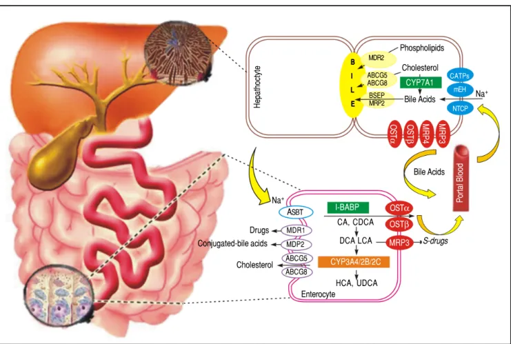 Figure 2. Figure 2. Figure 2. 