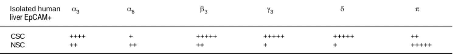 Table 1. GABA A  subunit expression in human liver cancer and normal stem cells.
