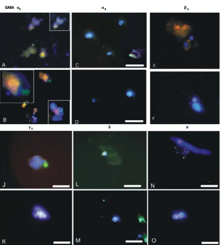 Figure 2.Figure 2.Figure 2.Figure 2.