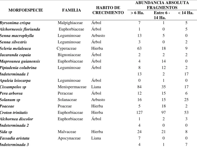 Tabla 2. Continuación