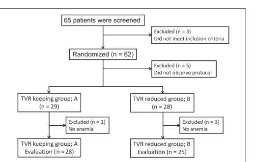 Figure 1. Profile of the randomi-