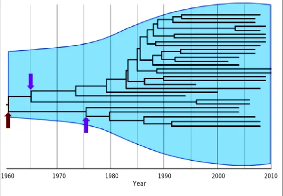 Figure 1. Interpatient evolution of HCV in a country. Maximum Clade Credibility Tree constructed by Bayesian coalescent